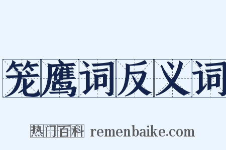 笼鹰词反义词是什么意思的图片